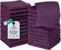 DAN RIVER 24 Pack Wash Cloths for Showering [12x12] - 100% Cotton Washcloths Premium Quality Flannel Face Cloths for Bathroom, Highly Absorbent and Soft Feel Wash Clothes, Purple Passion