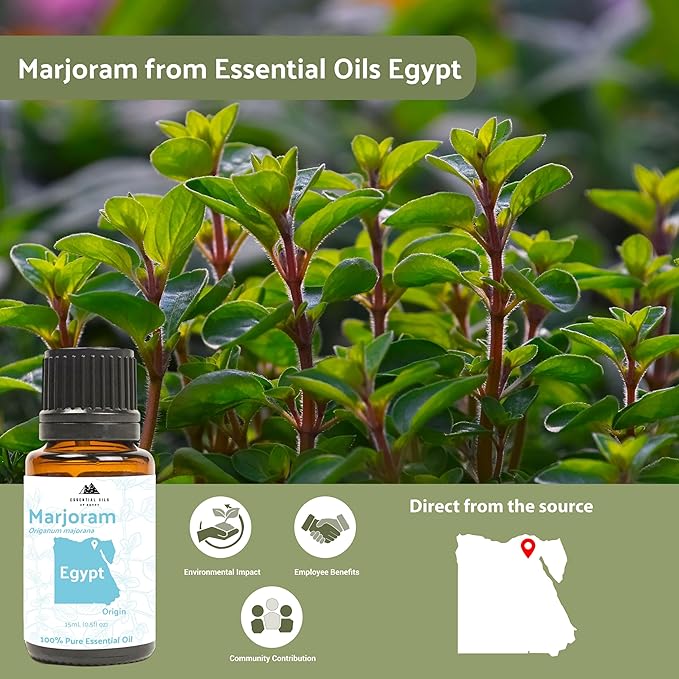 Marjoram Essential Oil - Aceite de Mejorana Direct from Egypt for Massage & Aromatherapy | Premium Therapeutic Grade (15ml)