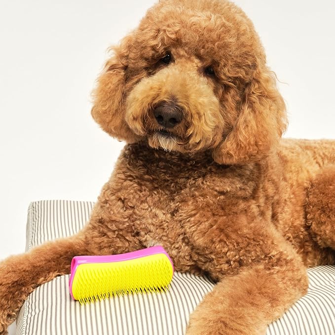 Pet Teezer Detangling Dog Grooming Brush, Dog Bath Brush for Long Haired Breeds and Wet or Dry Fur, Large, Pink & Yellow