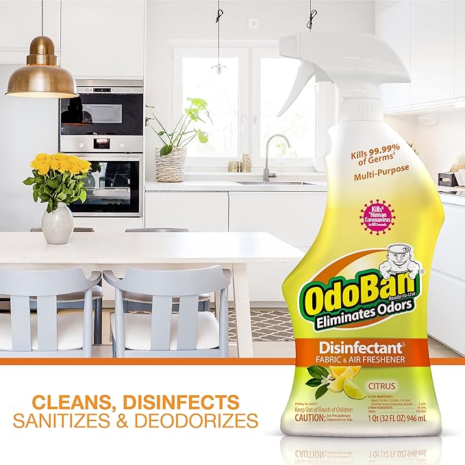 OdoBan 360-Degree Continuous Spray Natural Oil Real Citrus Orange Air Freshener, 10 Ounce, and Multipurpose Disinfectant Cleaner, 32 Ounce Spray, Made in the USA