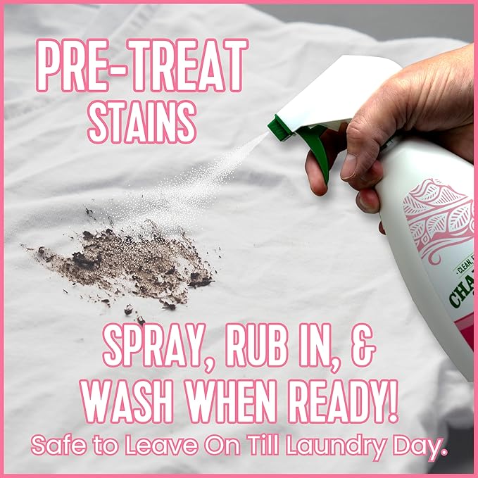 Charlie’s Soap Laundry Pre-Spray Stain Remover (32 fl oz), Natural Laundry Pretreat and Stain Remover (Pack of 1)