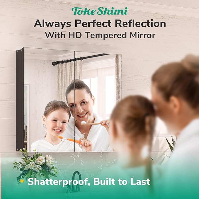 TokeShimi 20.1x26.1 Recessed Medicine Cabinet with Mirror Aluminum, Assembly Needed, Frameless, Stepless Adjustable Storage, Silver Medicine Cabinet Mirror