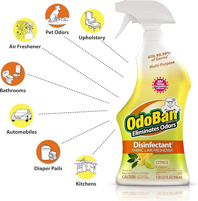 OdoBan 360-Degree Continuous Spray Natural Oil Real Citrus Orange Air Freshener, 10 Ounce, and Multipurpose Disinfectant Cleaner, 32 Ounce Spray, Made in the USA