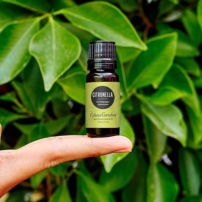 Edens Garden Citronella Essential Oil- 100% Pure Premium Grade, Undiluted, Natural, Therapeutic, Aromatherapy, The Best for Diffuser, Skin, Candle, Kid Safe 118 ml (4 fl oz)