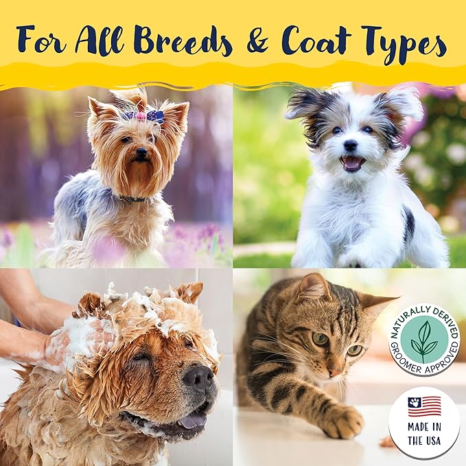 Bobbi Panter Dog Shampoo and Conditioner - Made in USA - All Natural 2-in-1 Formula for Detangles & Reduces Shedding - Concentrated 10:1 for Professional Groomers - Pear Scent, 1 Gallon (Case of 4)