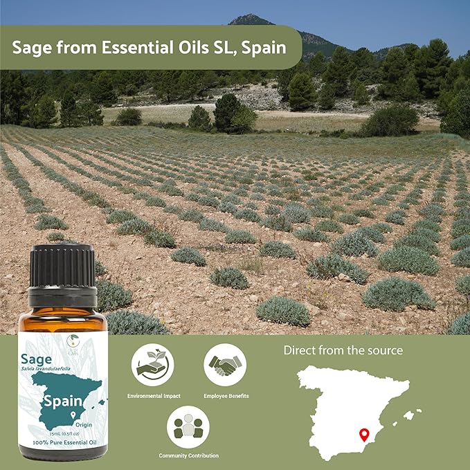 Sage Essential Oil - Direct from Essential Oils SL Spain - Steam Distilled - Aceite Esencial de Salvia for Aromatherapy, Massage, Diffuser, DIY Candle and Soap Making - 15ml