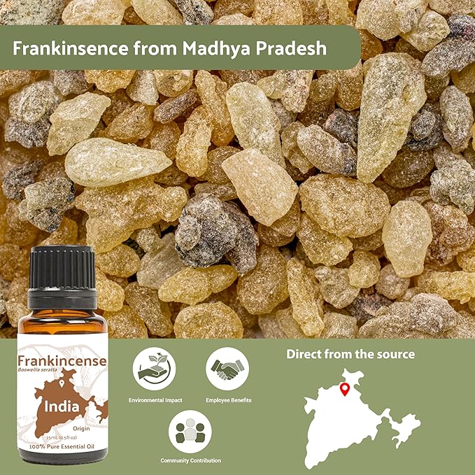Frankincense Essential Oil - Direct from Madhya Pradesh, India - Pure Essential Oil for Diffusers and Aromatherapy | 100% Pure Therapeutic Grade Natural Aceite de Incienso (22lbs)