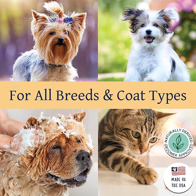 Bobbi Panter Rejuvenating Dog Shampoo, Restores & Revitalizes Skin & Fur, Orange Citrus Scent - 30:1 Concentrated Formula, Made in The USA, Trusted by Professional Groomers, 14 oz. (Case of 12)